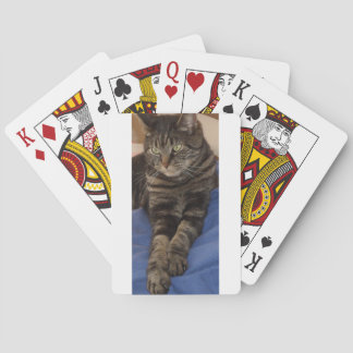 regal Dave som leker kort Casinokort