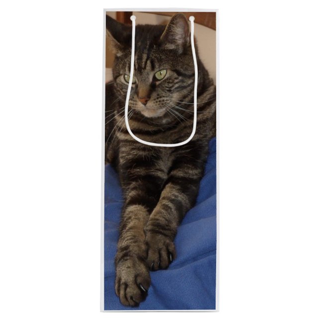 Regal Dave Vin Gift Bag (Framsidan)