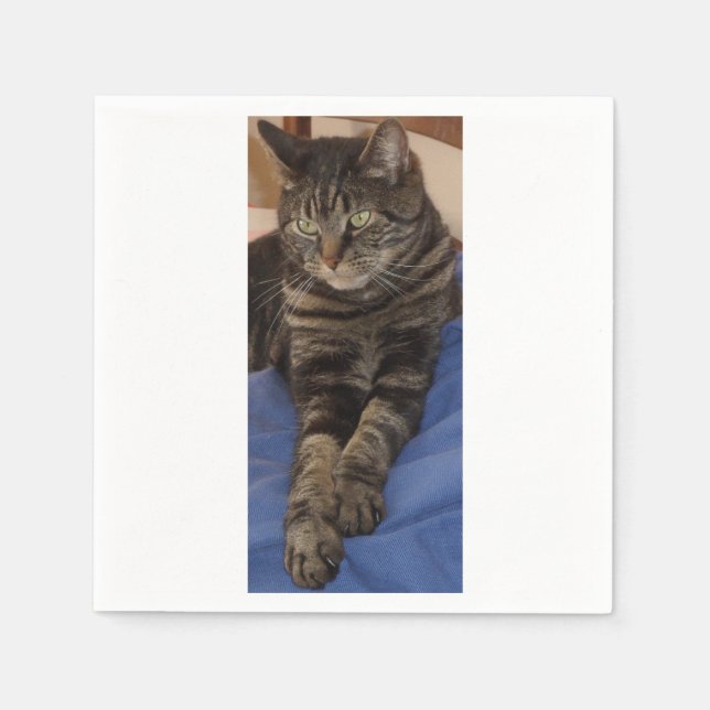 Regal Dave White Standard Napkins Pappersservett (Framsidan)