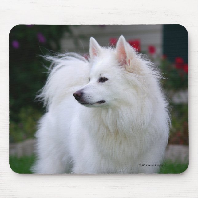 Regal Eskie Mousepad Musmatta (Framsidan)