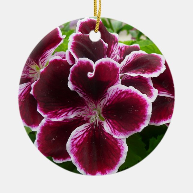 Regal Geranium Flowers Elegant Maroon Blommigt Lug Julgransprydnad Keramik (Framsidan)