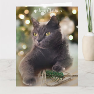 Regal Grått Cat med julklapp Ljus Helgdag Kort
