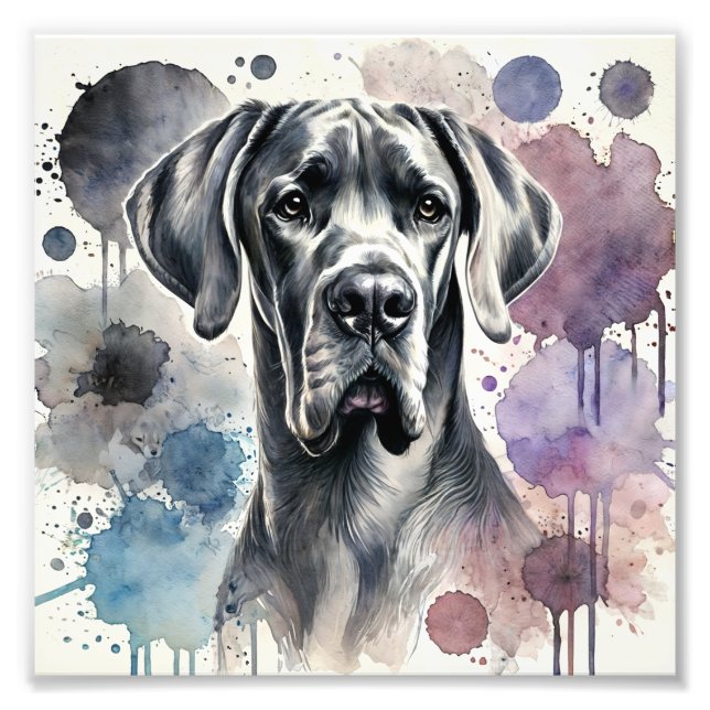 Regal Great dane-vattenfärgsutskrift Fototryck (Framsidan)