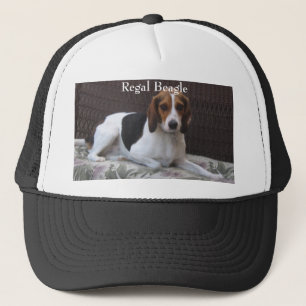 Regal hatt för Beaglehundhund Keps