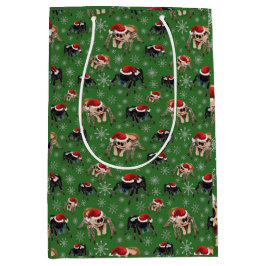 Regal Jumping Spider Phiddipus Regius Helgdag Moss