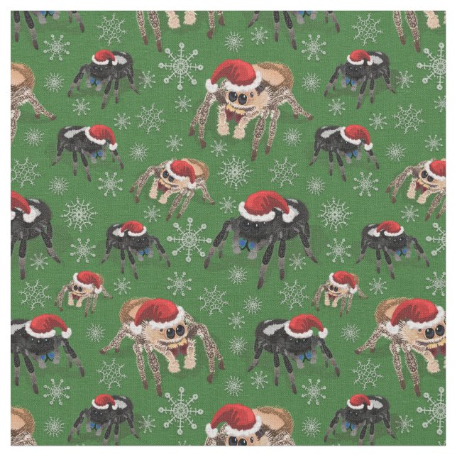 Regal Jumping Spider Phiddipus Regius Helgdag Moss Tyg (Närbild)