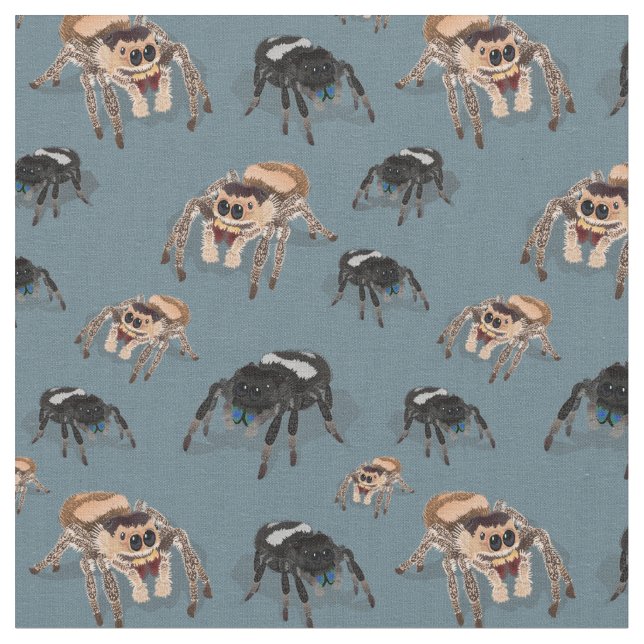 Regal jumping Spider Phiddipus Regius Tyg (Närbild)