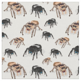 Regal jumping Spider Phiddipus Regius White Tyg