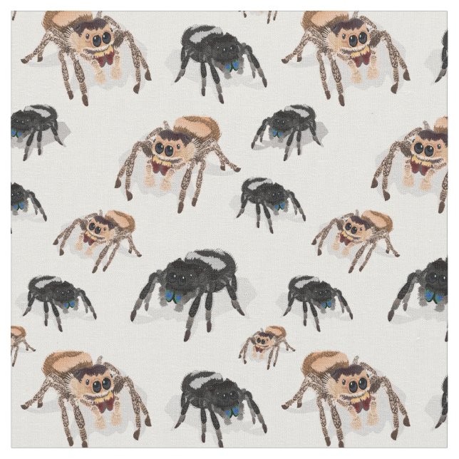 Regal jumping Spider Phiddipus Regius White Tyg (Närbild)