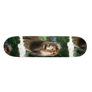 Regal lejon Skateboard Bräda 20,5 Cm