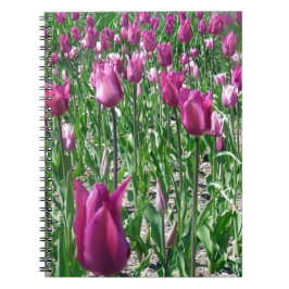 Regal Lila Tulips Anteckningsbok Med Spiral