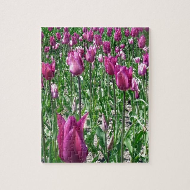 Regal Lila Tulips Pussel (Vertikal)