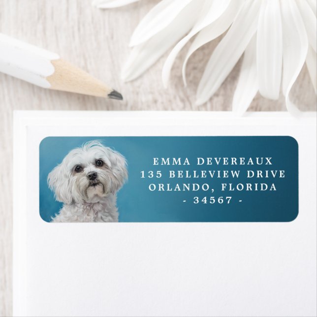 Regal Maltese Hund Return Address Label Returadress Etikett (Insitu)