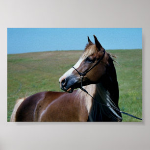 Regal Morgan Maretryck Poster
