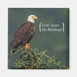 Regal örn magnet