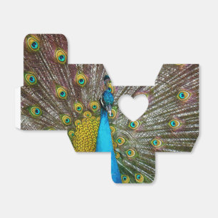 Regal Peacock Bird med plasma på Visningen Presentaskar