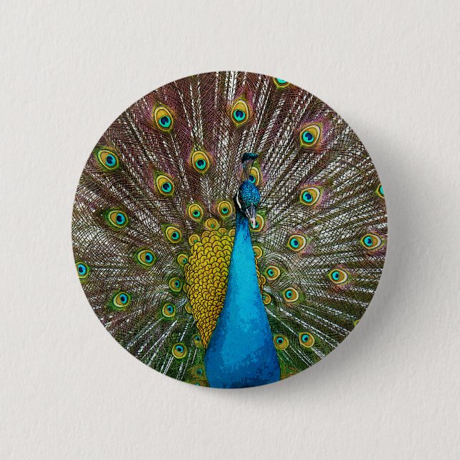 Regal Peacock Bird med Teal och Guld Plumage Knapp (Framsida)