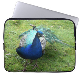 Regal Peacock Power Laptop Fodral