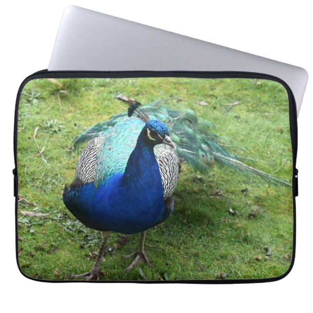 Regal Peacock Power Laptop Fodral (Framsidan)