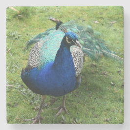 Regal Peacock Power Stenunderlägg