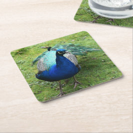 Regal Peacock Power Underlägg Papper Kvadrat