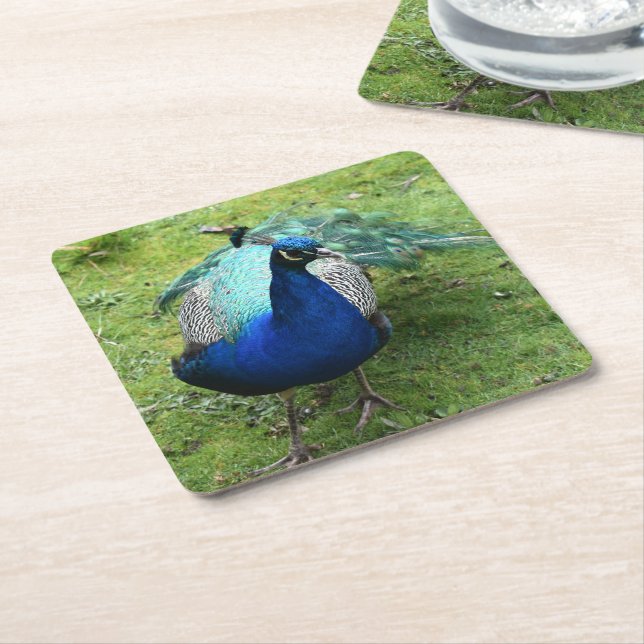 Regal Peacock Power  Underlägg Papper Kvadrat (Vinklad)