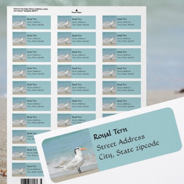 Regal Royal Tern Coastal Returetiketter Returadress Etikett (Skapare uppladdad)