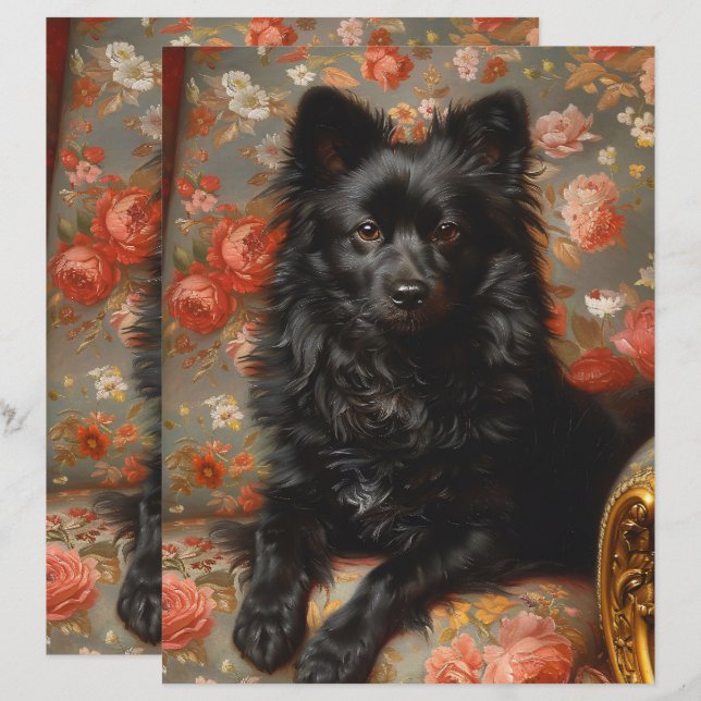 Regal Schipperke Hund Vintage Scrapbook Papper (Fram/baksida)