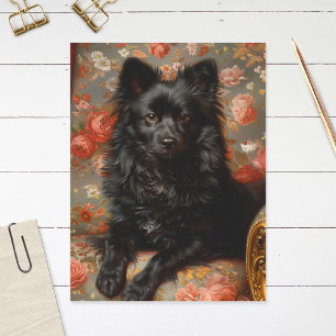 Regal Schipperke Hund Vintage Vykort