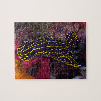 Regal Sea Goddess Nudigren Felimare picta Pussel
