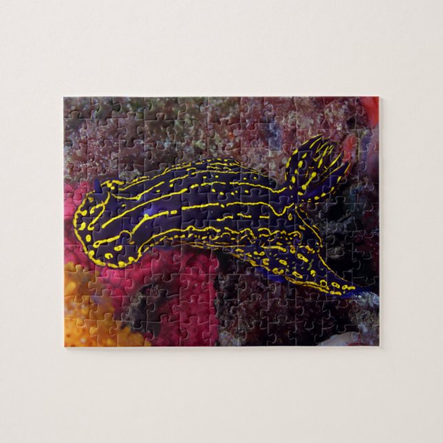 Regal Sea Goddess Nudigren Felimare picta Pussel (Horisontell)