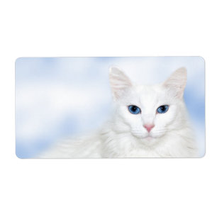 Regal vitkatt fraktsedel