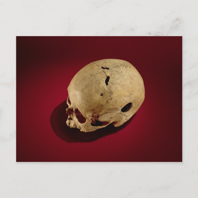 Regarverad Skull Vykort (Framsida)