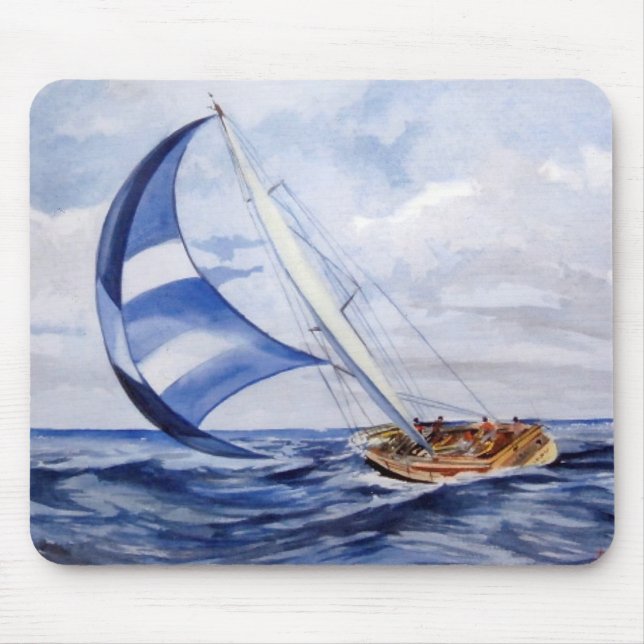Regata/Regatta Musmatta (Framsidan)