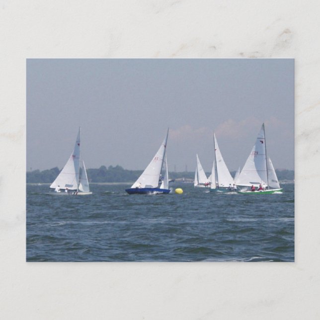 Regatta Sailing Postcard Vykort (Framsida)
