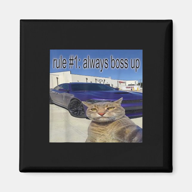 Regel 1: Alltid Chef upp Funny Cat Odely Specific  Magnet (Framsidan)