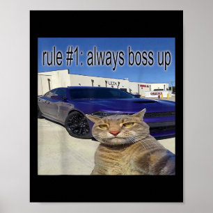 Regel 1: Alltid Chef upp Funny Cat Odely Specific  Poster