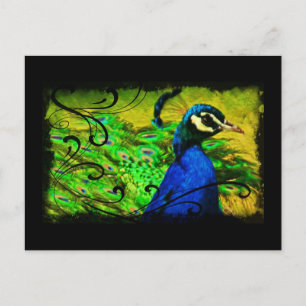 Regel Peacock Elegant Fine Art Postcard Vykort
