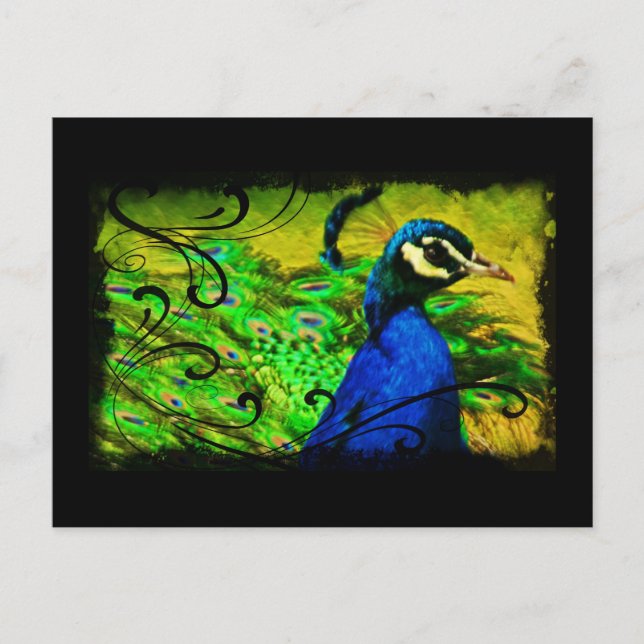 Regel Peacock Elegant Fine Art Postcard Vykort (Framsida)