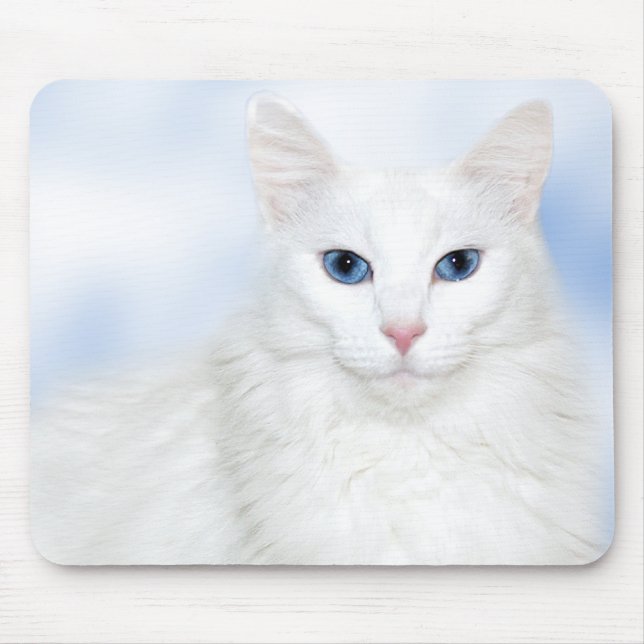 Regelvit katt musmatta (Framsidan)