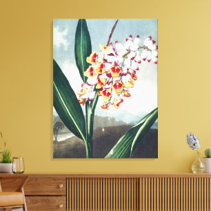 Regency-stil Vit Gul Exotisk Blommig Dekoration Canvastryck