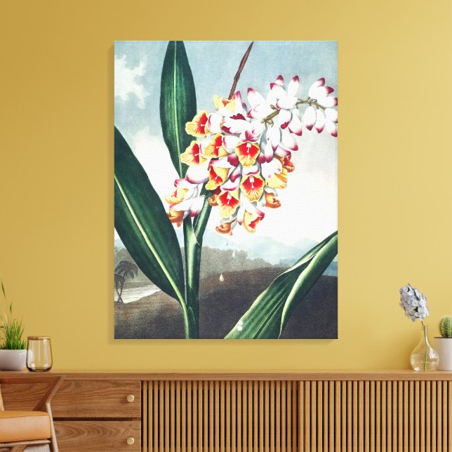 Regency-stil Vit Gul Exotisk Blommig Dekoration Canvastryck (Insitu (Vardagsrum))
