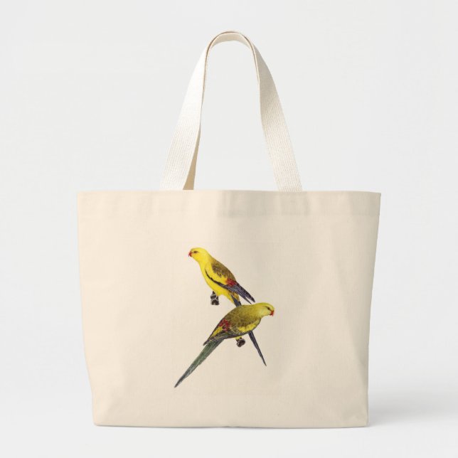Regent Parrot Pair - Polytelis anthopeplus Jumbo Tygkasse (Framsidan)
