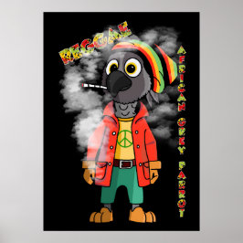 Reggae African Grått parrot Poster