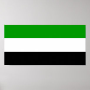 Regionsymb i flagga Gorno Badakhshan Poster