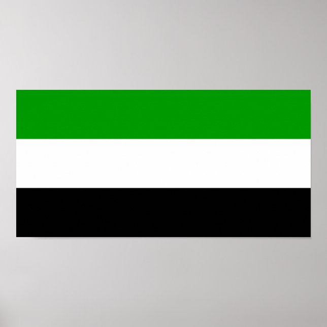 Regionsymb i flagga Gorno Badakhshan Poster (Framsidan)