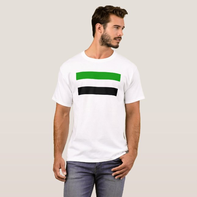 Regionsymb i flagga Gorno Badakhshan Tee Shirt (Hel framsida)