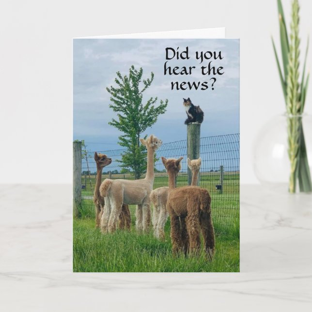 REGISTRERINGEN ÄR ATT **55 BIRTHDAY** INTE SÅ BAD  KORT (Framsida)