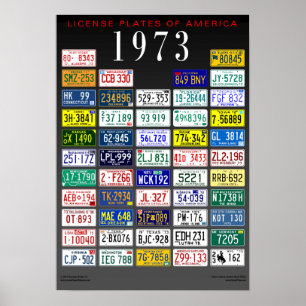 Registreringsskyltar av den Amerika affischen - Poster