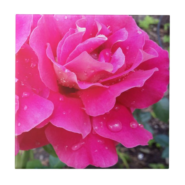 Regn på kronblad kakelplatta (Framsidan)